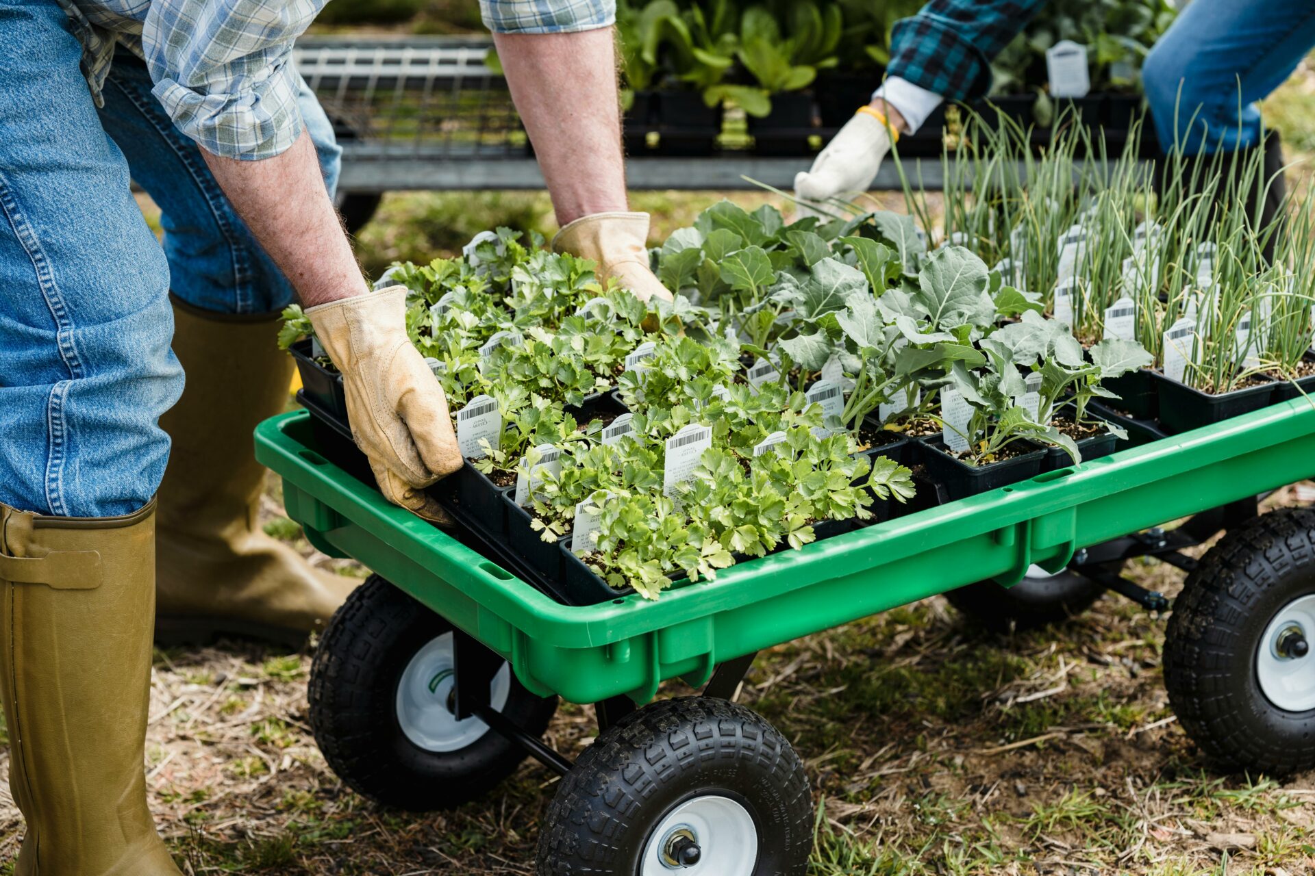 Tuinhulp gezocht – Help onze leden met tuinonderhoud!